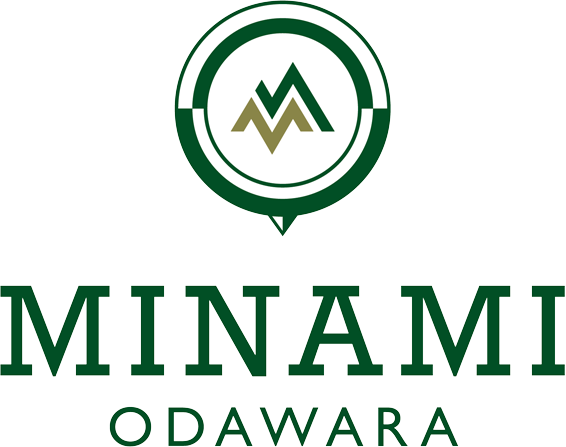 株式会社MINAMI